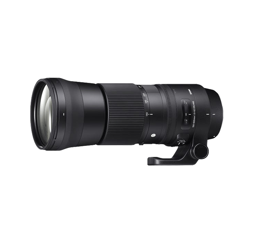 シグマ SIGMA 150-600mm F5-6.3 DG OS HSM Contemporary 超望遠ズームレンズ (CANON EFマウント)